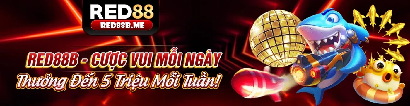 Ứng dụng bet12 trên điện thoại và máy tính bảng