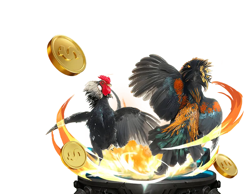 Hướng dẫn chơi đá gà tại bet12