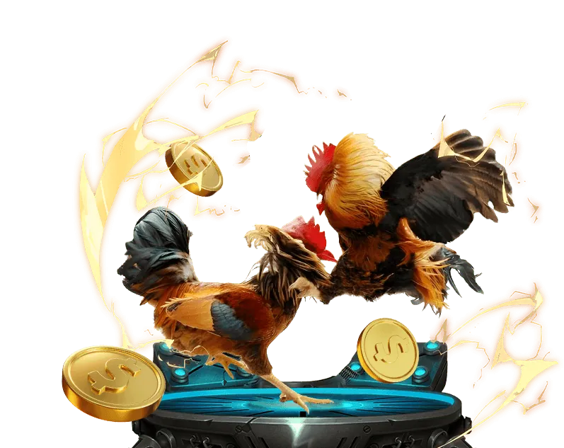 Tài liệu điều khoản dịch vụ bet12